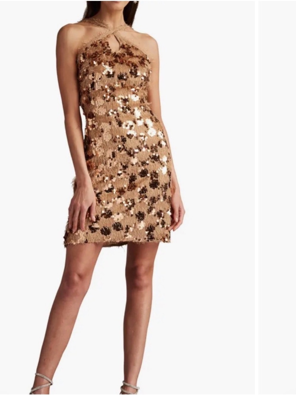 Tadashi Shoji Gibbs Sequin Fringe Mini Dress